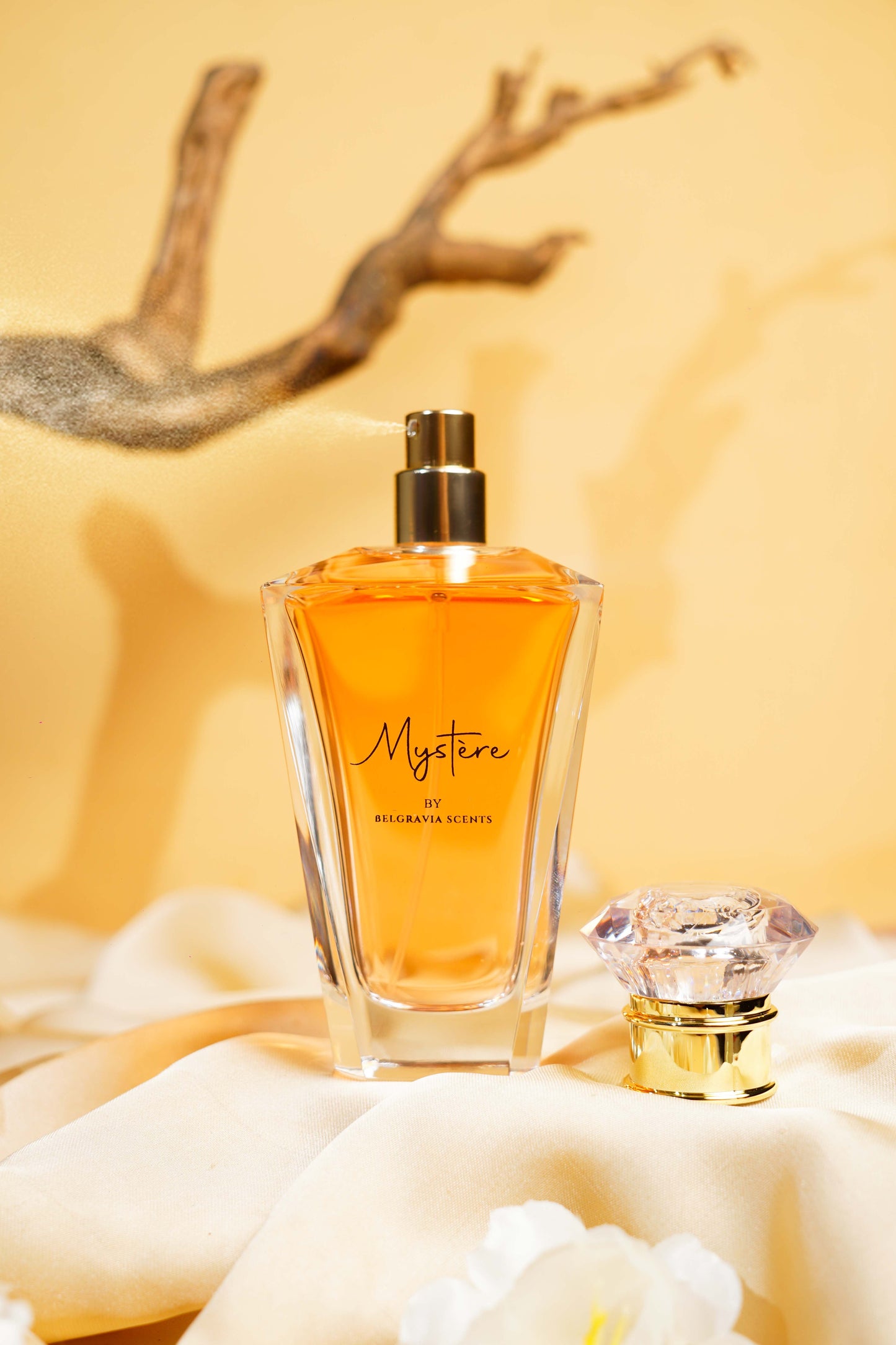 Belgravia Scents Belgravia Scents Mystere Eau De Parfum For Women 100ml Buy in Pakistan PerfumeDaddy.pk