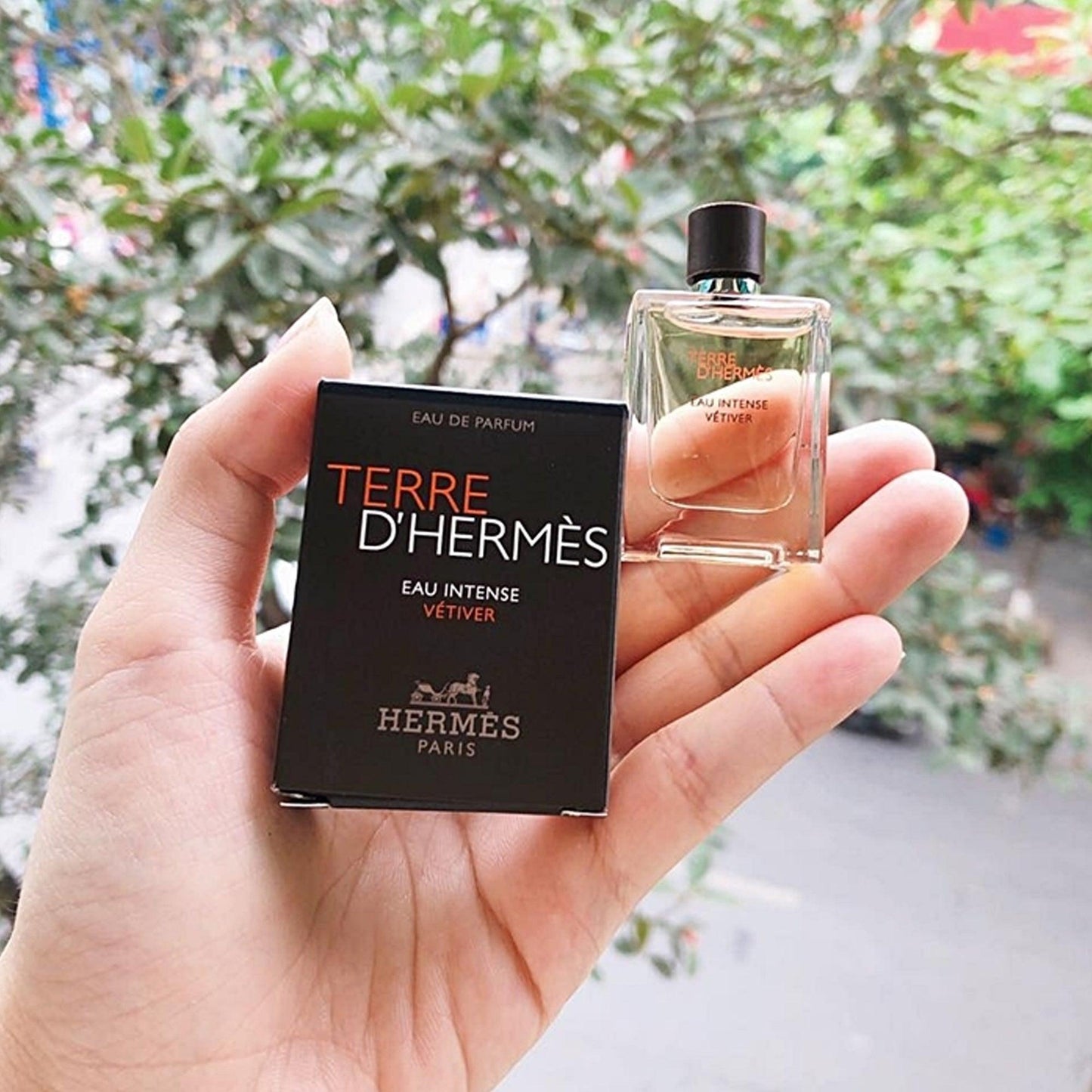 Hand holding a mini bottle and box of Terre d’Hermès Eau Intense Vétiver Eau De Parfum by Hermès Paris, with green trees in the background.