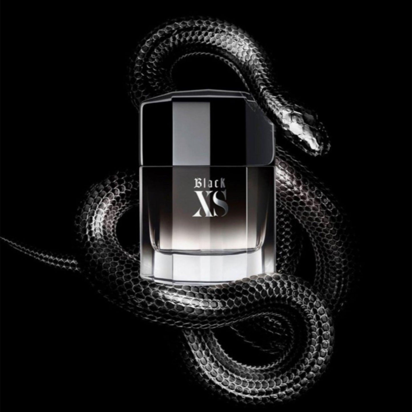 Paco Rabanne Black XS Eau De Toilette bottle with a sleek black gradient design surrounded by a coiled black snake on a dark background