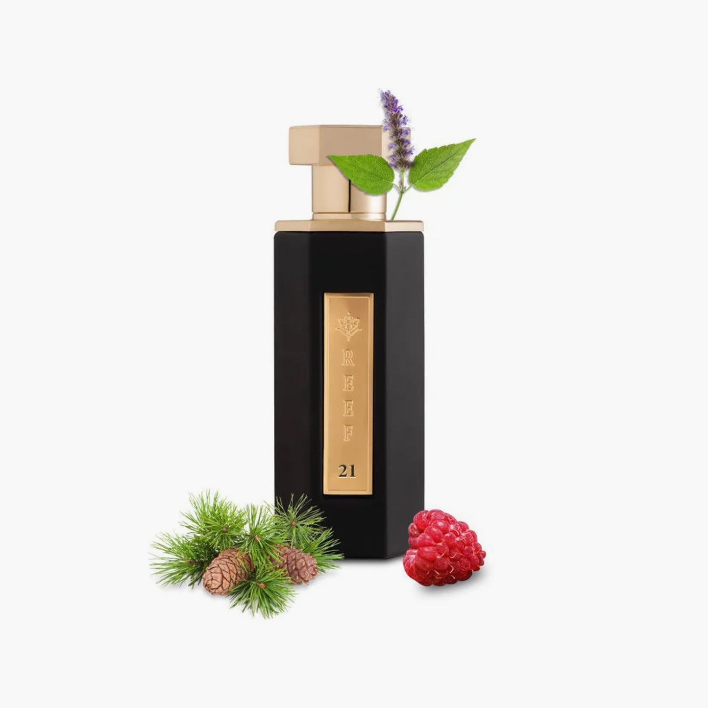 Reef 21 Eau De Parfum Unisex 100ml Fragrance Notes and Details