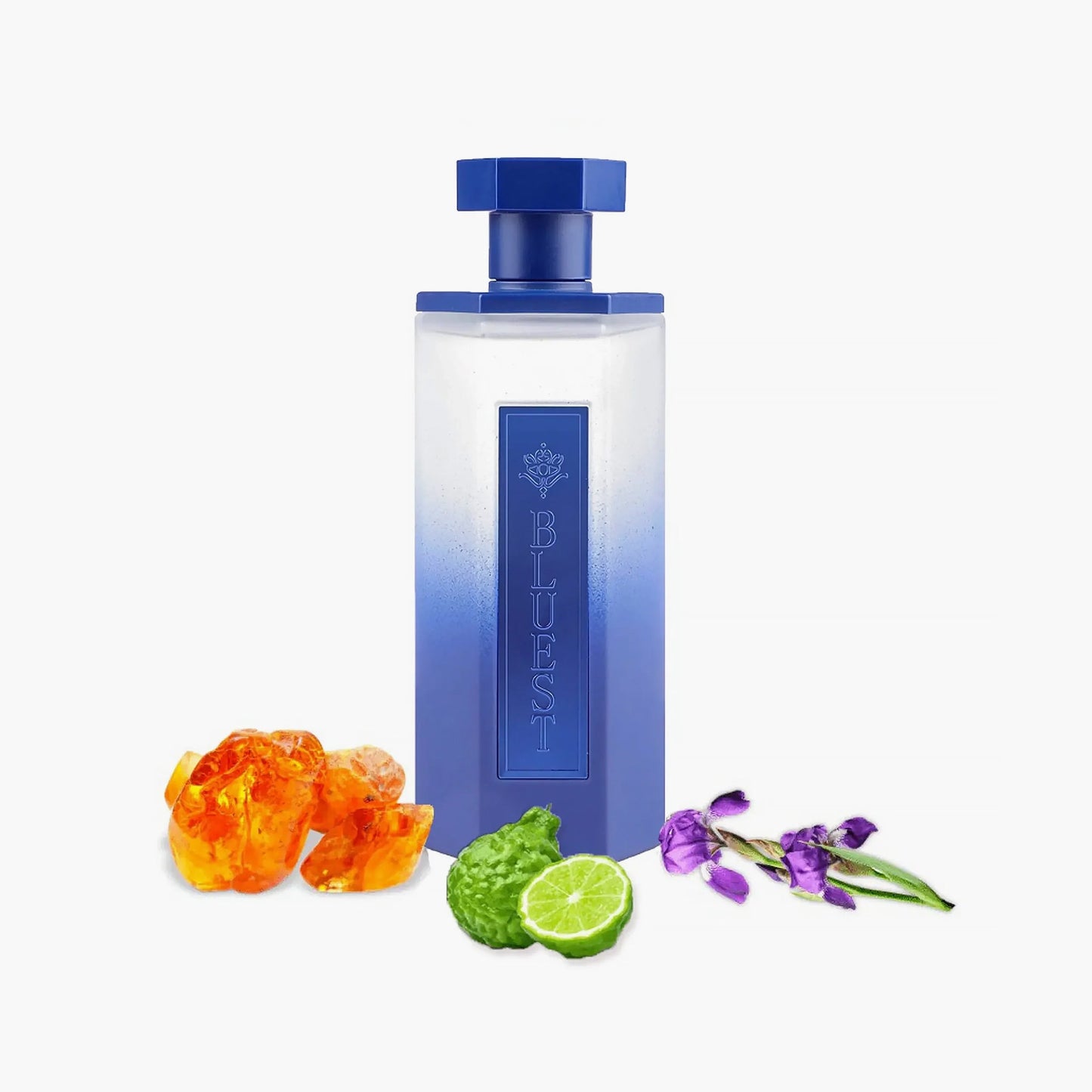 Reef Bluest Eau De Parfum Unisex 200ml Fragrance Notes and Details