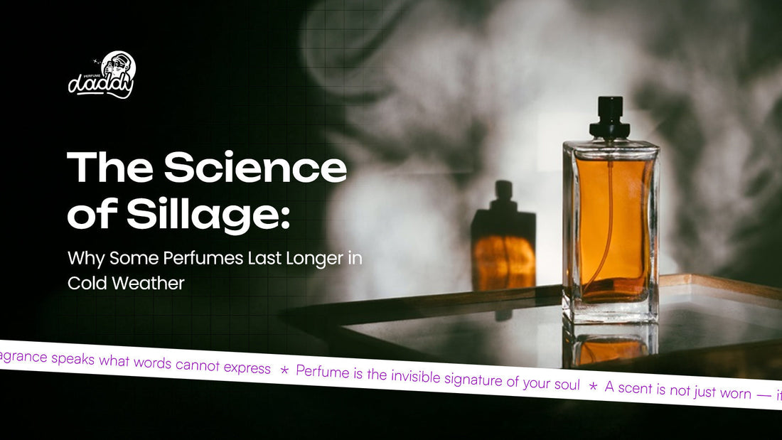 The Science of Sillage: Why Some Perfumes Last Longer in Cold Weather