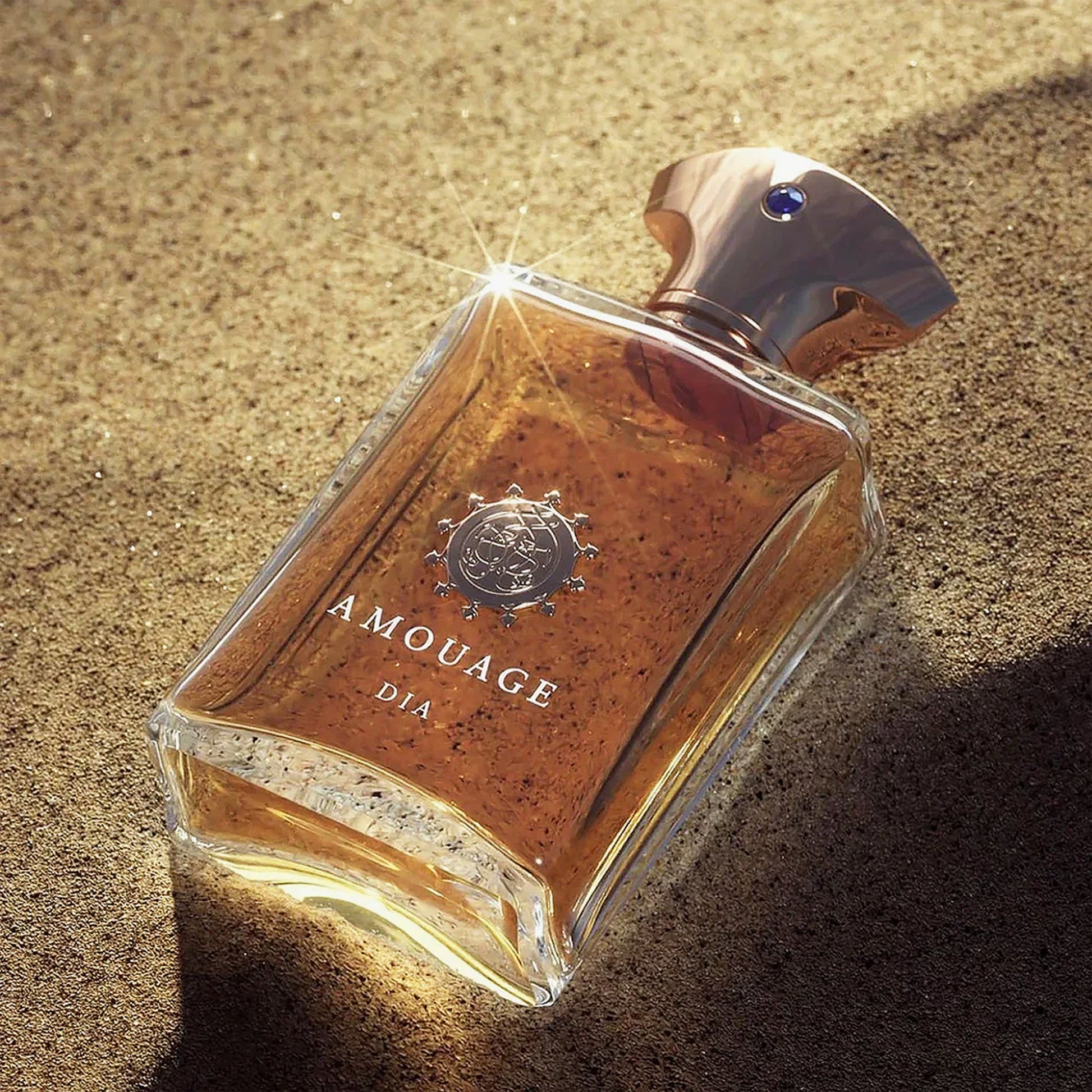 Amouage Dia Eau De Parfum For Men 100ml Bottle and Packaging