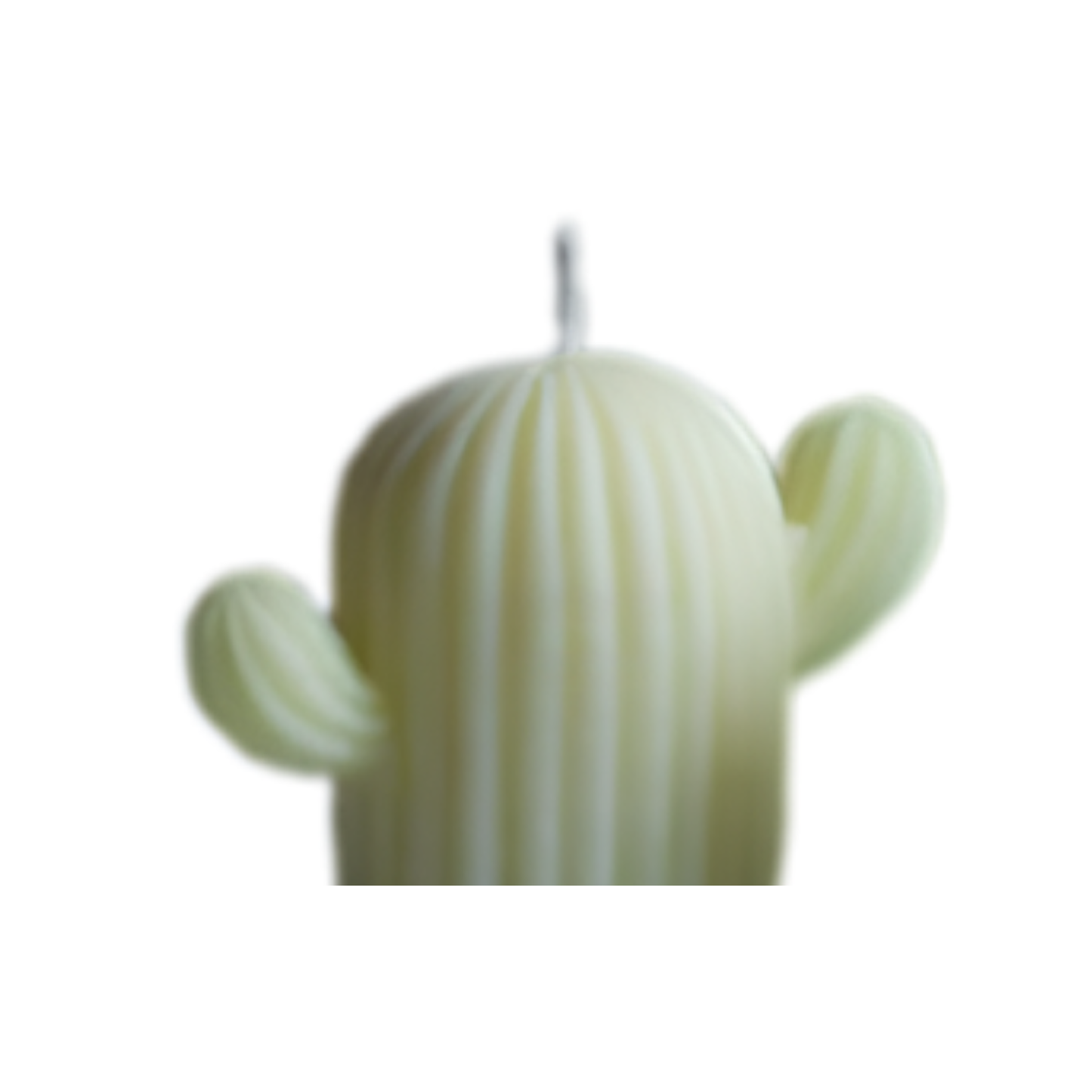 Candle Wick Store Cactus Candle - Buy in Pakistan | Perfume Daddy