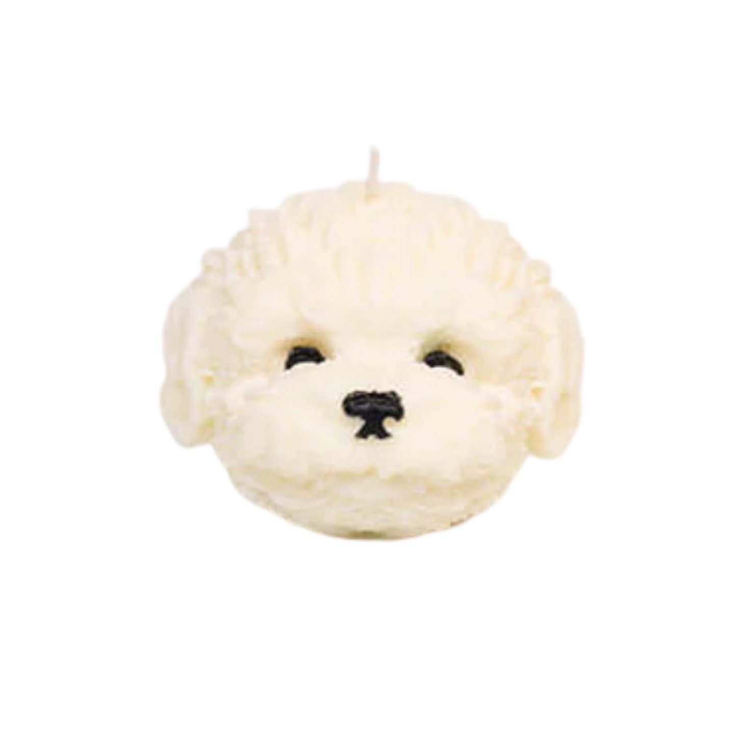 Candle Wick Store Puppy Face Candle - Buy in Pakistan | Perfume Daddy