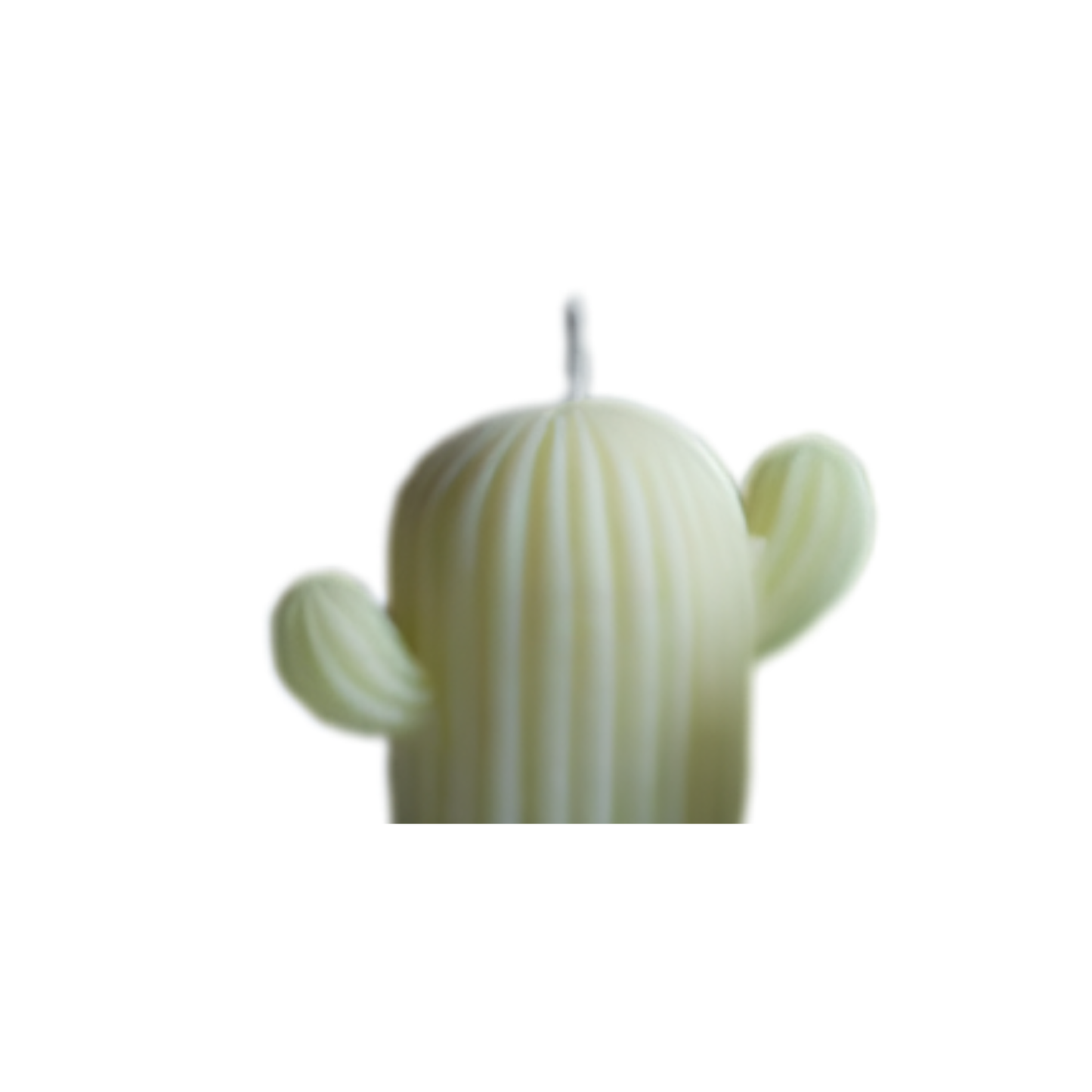 Candle Wick Store Cactus Candle Fragrance Notes and Details
