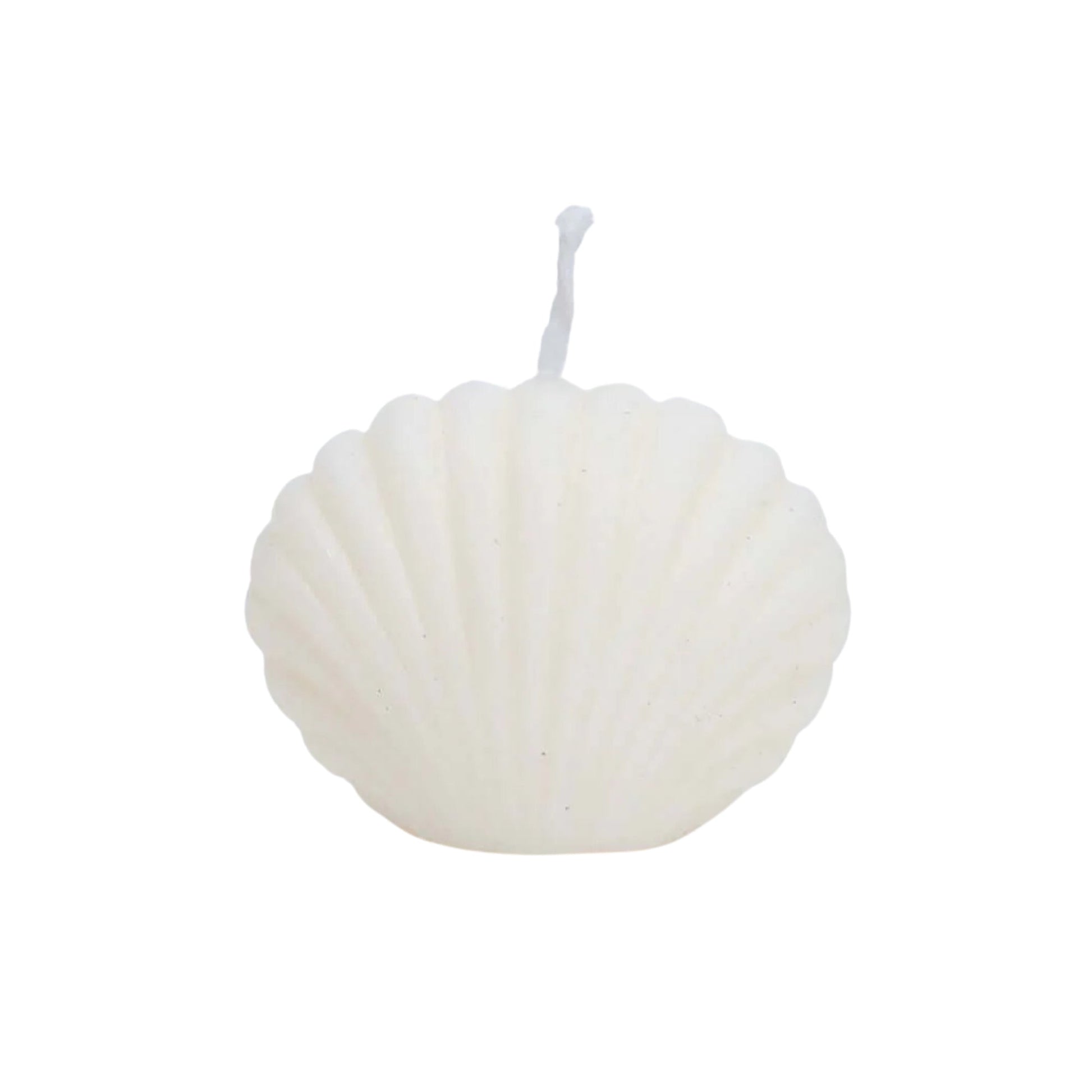 Candle Wick Store Shell Candle - Buy in Pakistan | Perfume Daddy