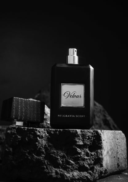 Belgravia Scents Belgravia Scents Velour Eau De Parfum Unisex 100ml Buy in Pakistan PerfumeDaddy.pk