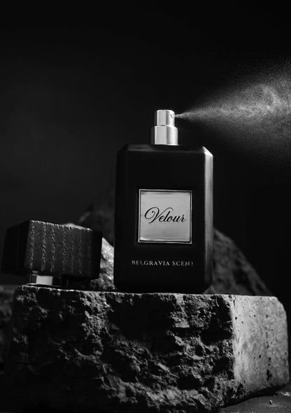 Belgravia Scents Belgravia Scents Velour Eau De Parfum Unisex 100ml Buy in Pakistan PerfumeDaddy.pk
