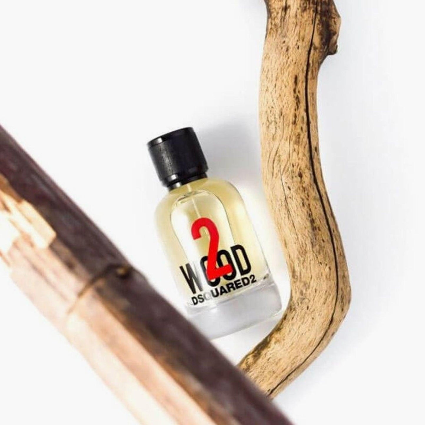Dsquared2 2 Wood Eau De Toilette bottle placed between natural wooden branches on a white background, representing its woody fragrance theme.