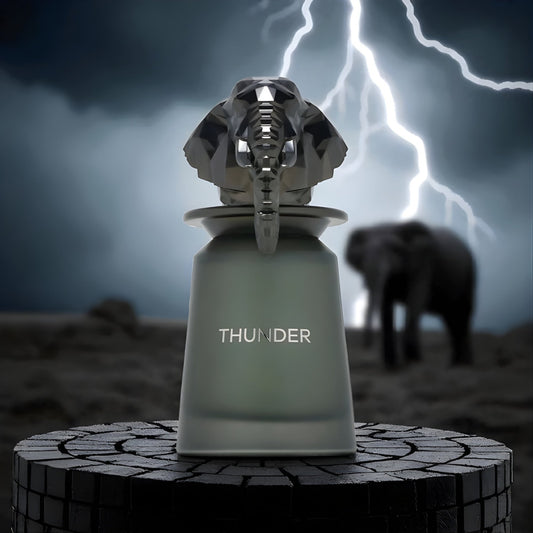 French Avenue Thunder Eau De Parfum For Men 100ml Bottle and Packaging