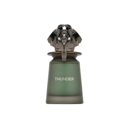 French Avenue Thunder Eau De Parfum For Men 100ml - Buy in Pakistan | Perfume Daddy