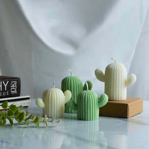 Candle Wick Store Cactus Candle Bottle and Packaging