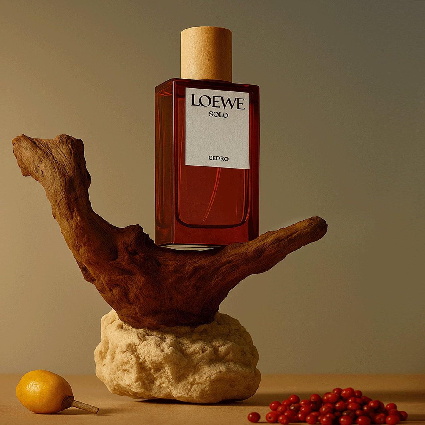 loewe solo cedro eau de toilette pour homme 100ml price