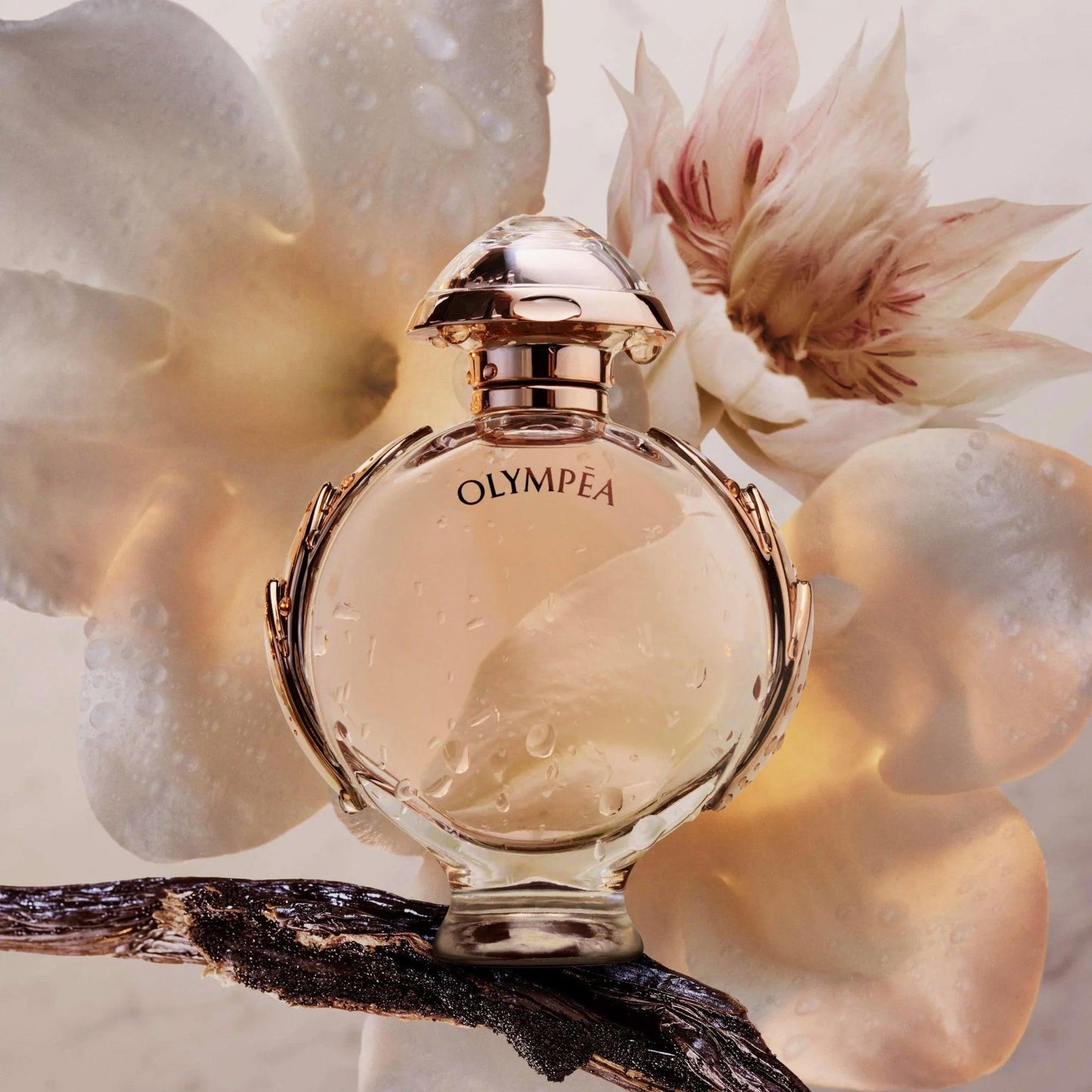Paco Rabanne Olympea Eau De Parfum round gold-accented bottle with water droplets placed on a branch against a soft floral background