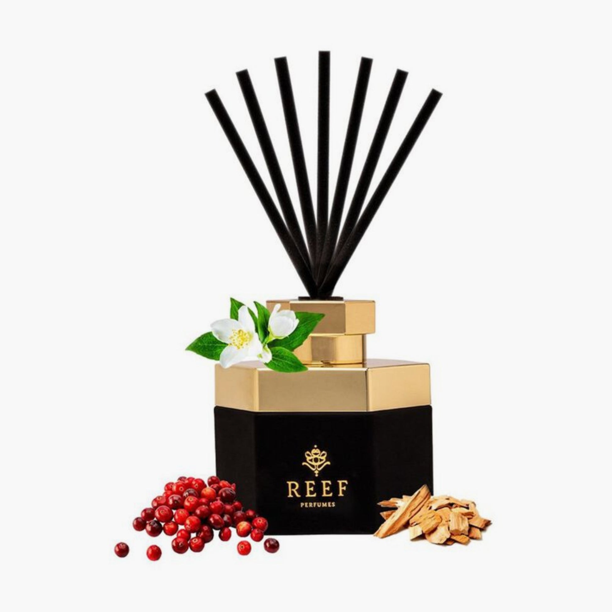 Reef 11 Diffuser Oil Refill 50ml Bottle and Packaging