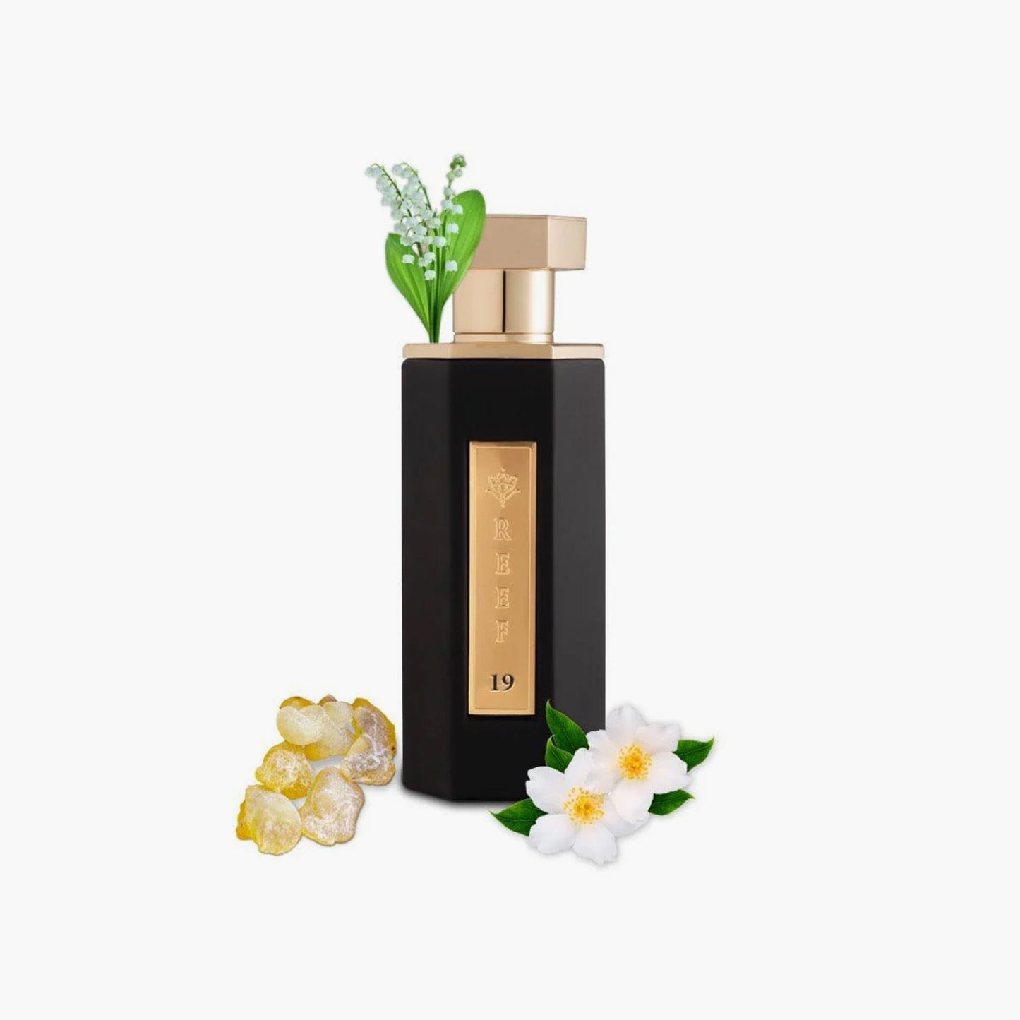 Reef 19 Eau De Parfum Unisex 100ml Fragrance Notes and Details