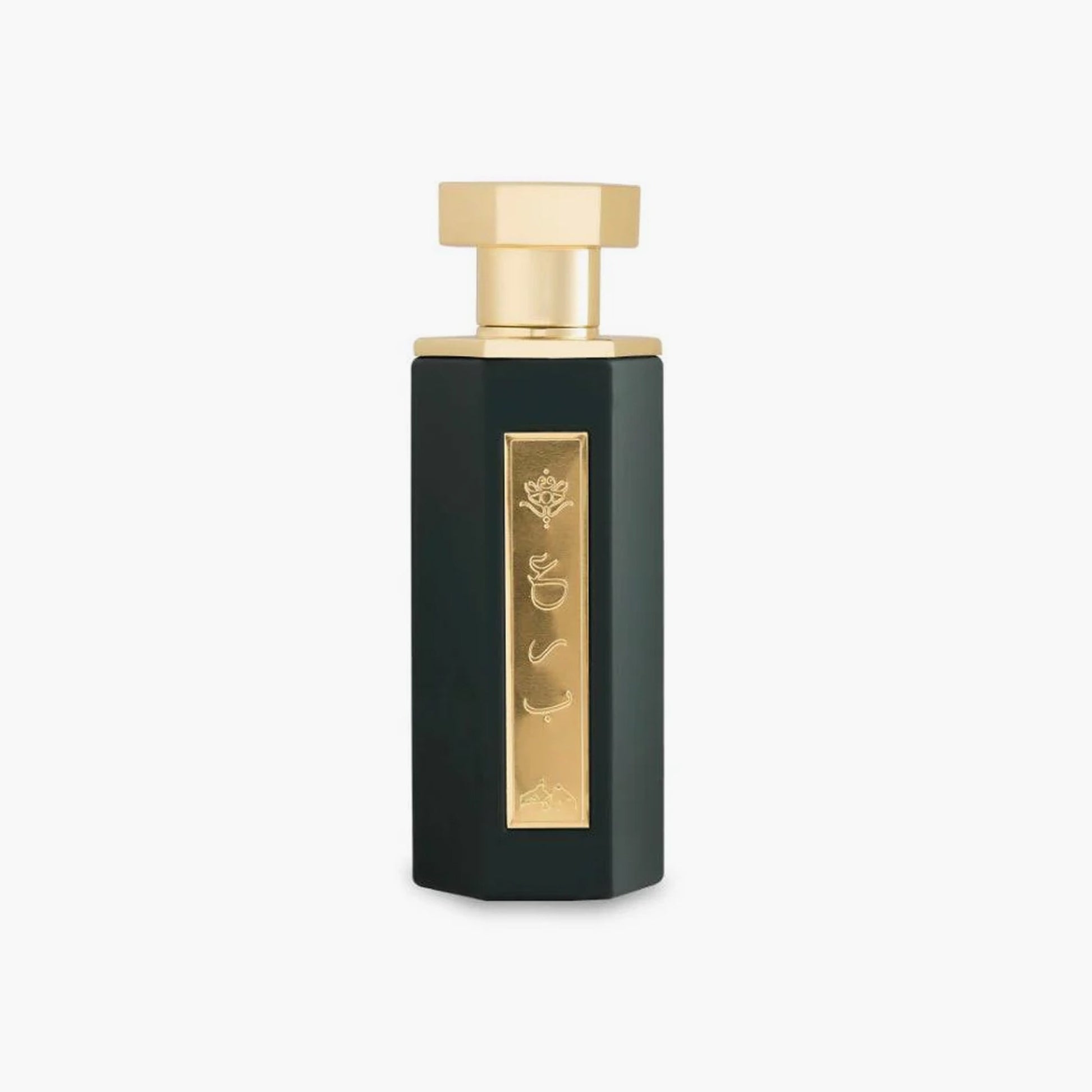 Reef Arab Diriyah Eau De Parfum Unisex 100ml - Buy in Pakistan | Perfume Daddy