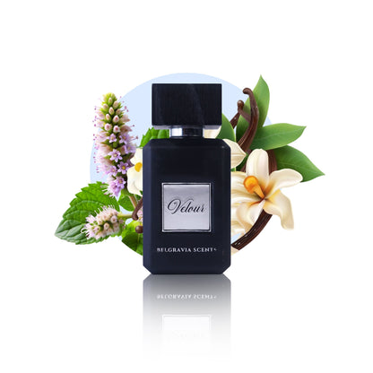 Belgravia Scents Belgravia Scents Velour Eau De Parfum Unisex 100ml Buy in Pakistan PerfumeDaddy.pk