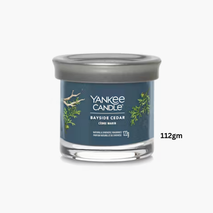 Yankee Candles Yankee Bayside Cedar Scented Candle 122gm - Buy in Pakistan | Perfume Daddy