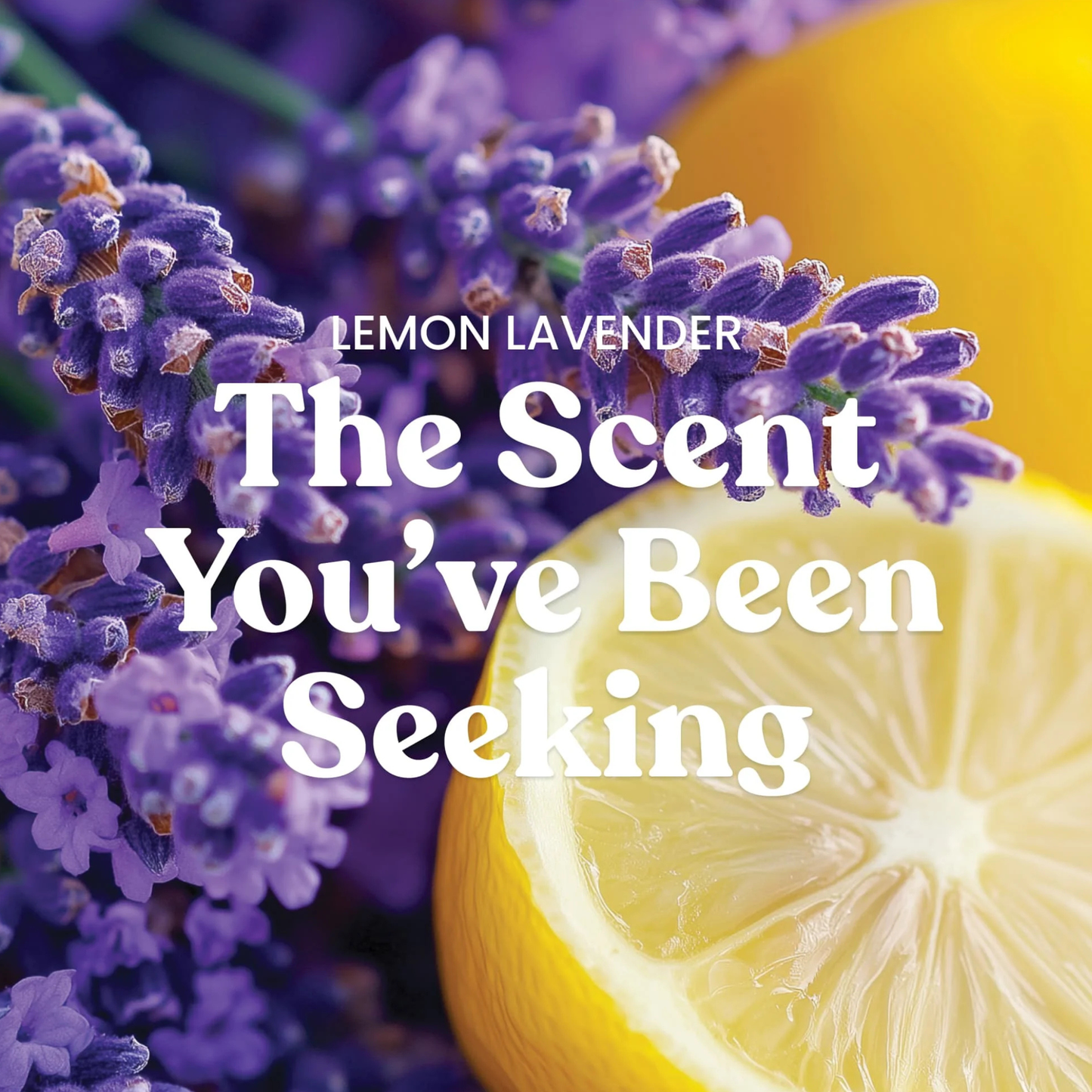 Yankee Candles Yankee Lemon Lavender Scented Candle Bottle and Packaging