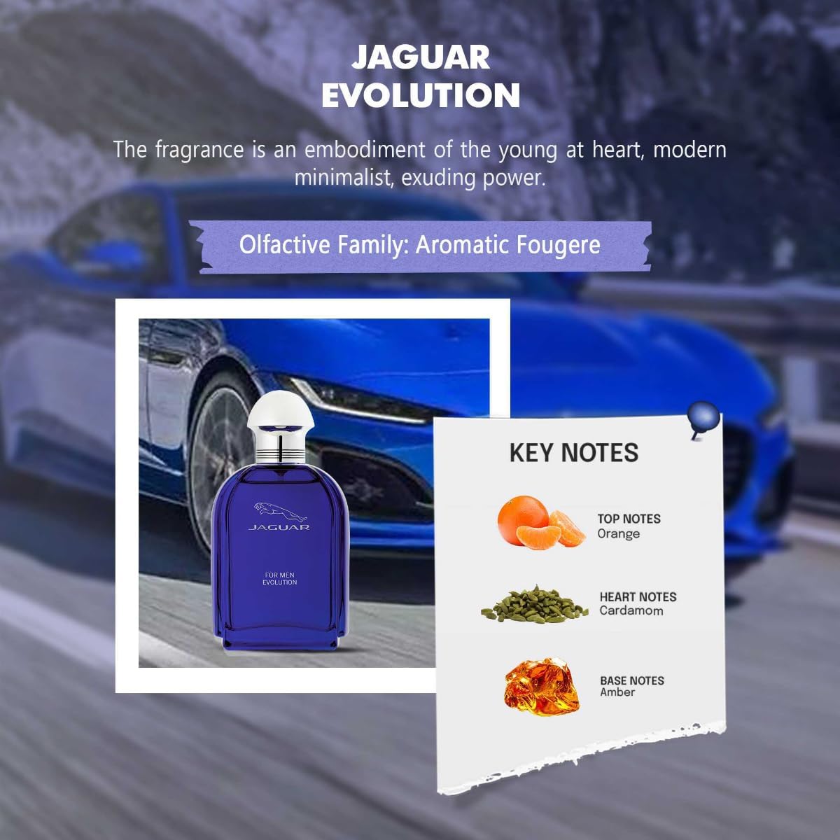 jaguar for men evolution eau de toilette 100ml price