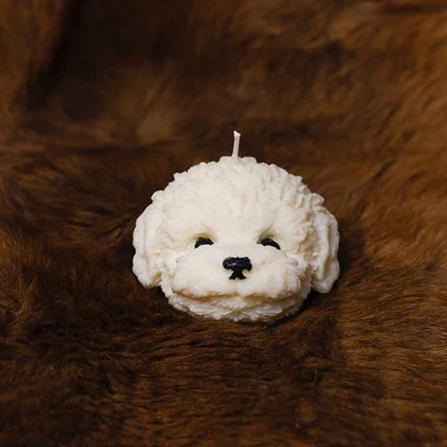 Candle Wick Store Puppy Face Candle Bottle and Packaging